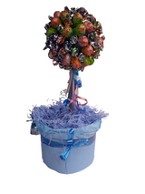 Sucker tree